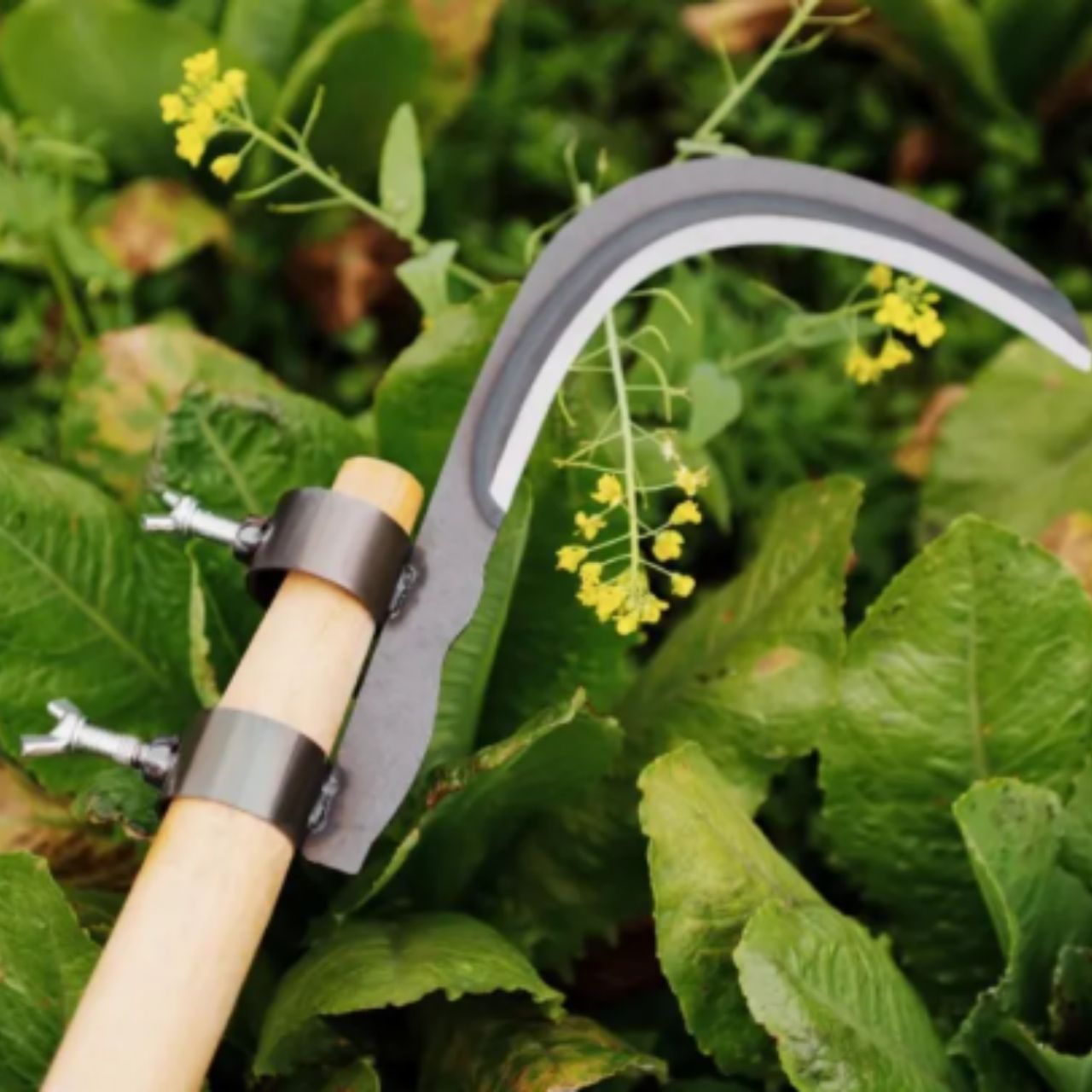 AgroTool, Ág-, Gyom-, Tüske- és Növényvágó - Image 10