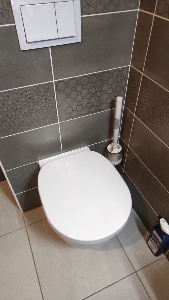 BestBrush, a forradalmi WC-kefe, amelynek gombja van a tisztítószer adagolásához - Image 10