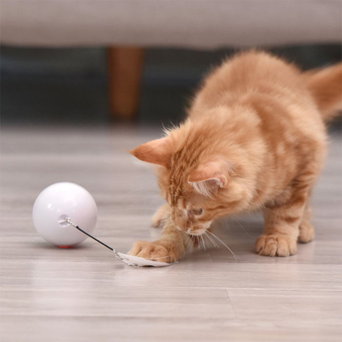 CatToy, egy játék macskáknak, amely elmenekül és tollaiit lengetve - Image 2