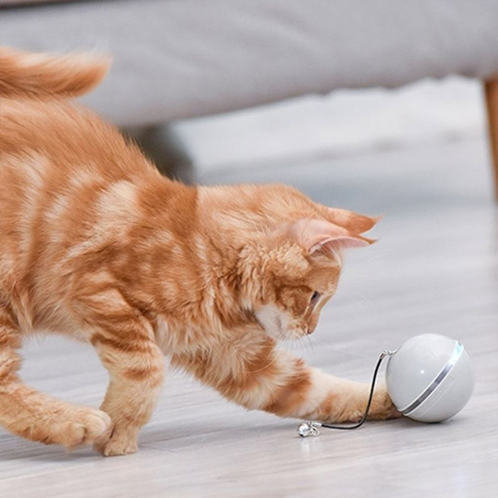 CatToy, egy játék macskáknak, amely elmenekül és tollaiit lengetve - Image 3