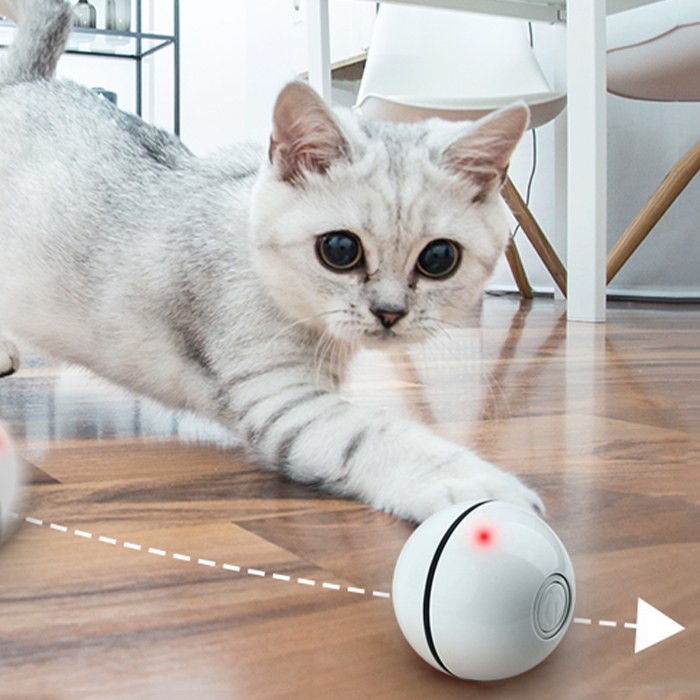 CatToy, egy játék macskáknak, amely elmenekül és tollaiit lengetve - Image 10