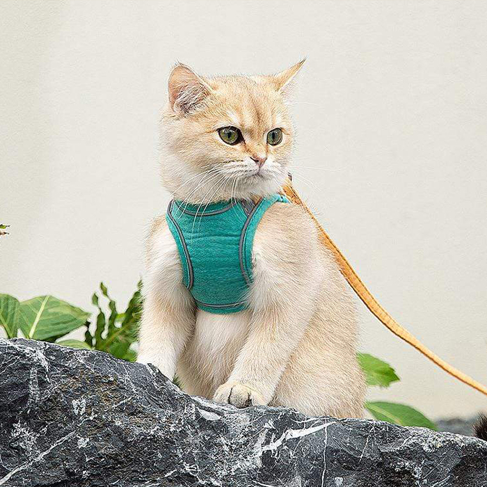 CatVest, macskahám és póráz - Image 3