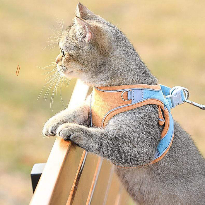 CatVest, macskahám és póráz - Image 4