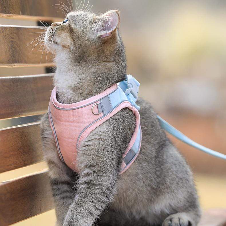 CatVest, macskahám és póráz - Image 5