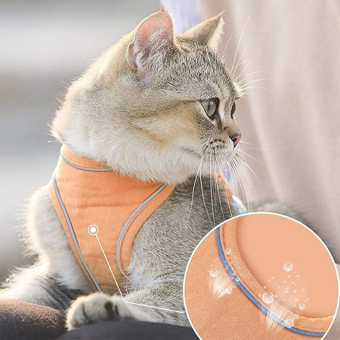 CatVest, macskahám és póráz - Image 9