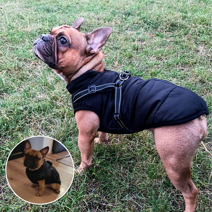 DogJacket, fényvisszaverő és vízálló télikabát kutyáknak - Image 6