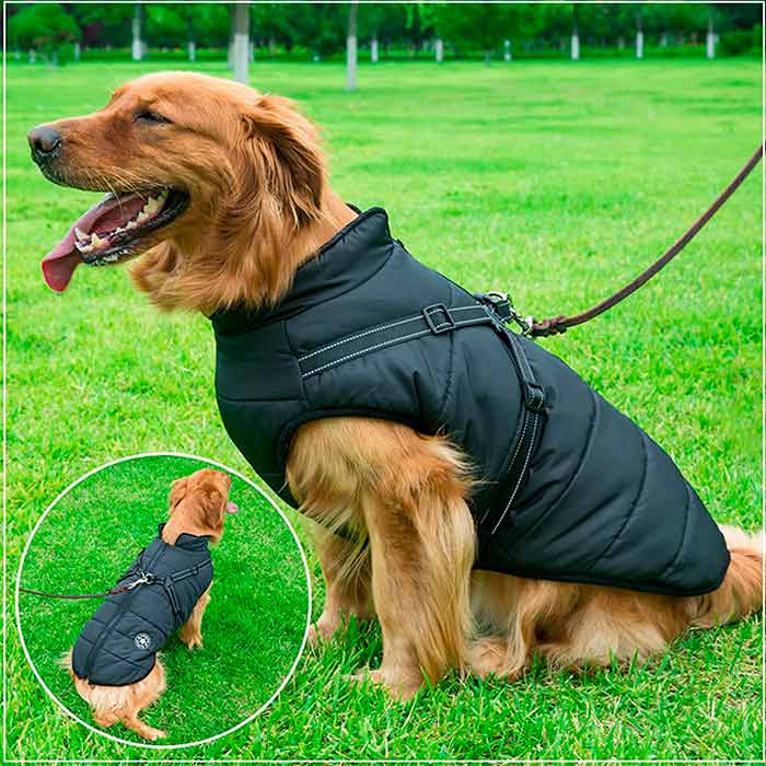 DogJacket, fényvisszaverő és vízálló télikabát kutyáknak - Image 10
