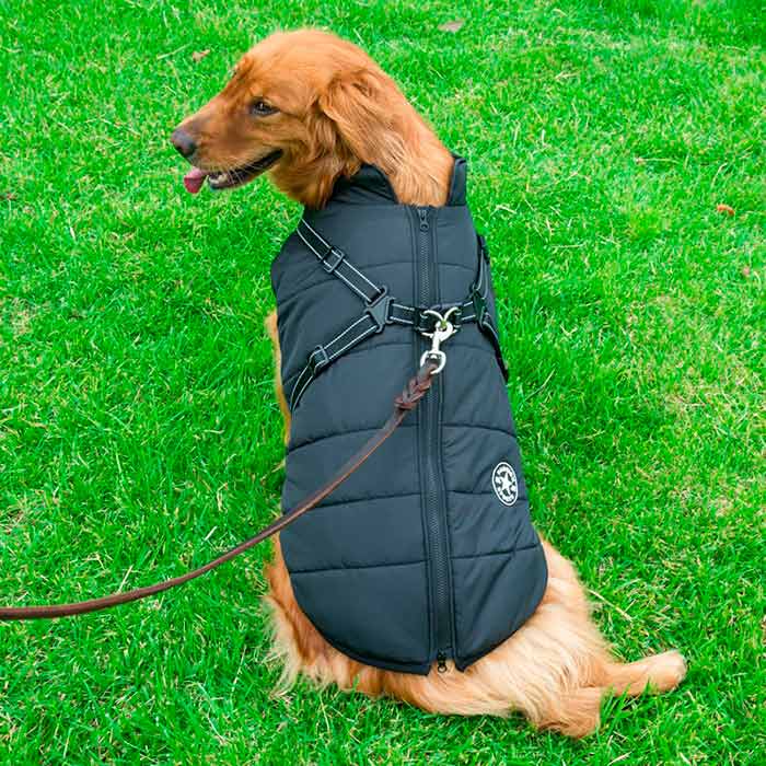 DogJacket, fényvisszaverő és vízálló télikabát kutyáknak - Image 11