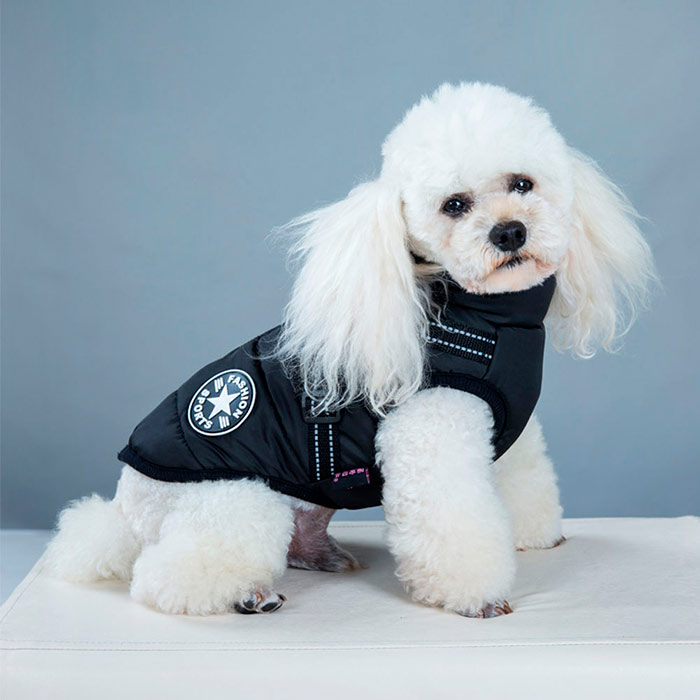 DogJacket, fényvisszaverő és vízálló télikabát kutyáknak - Image 15