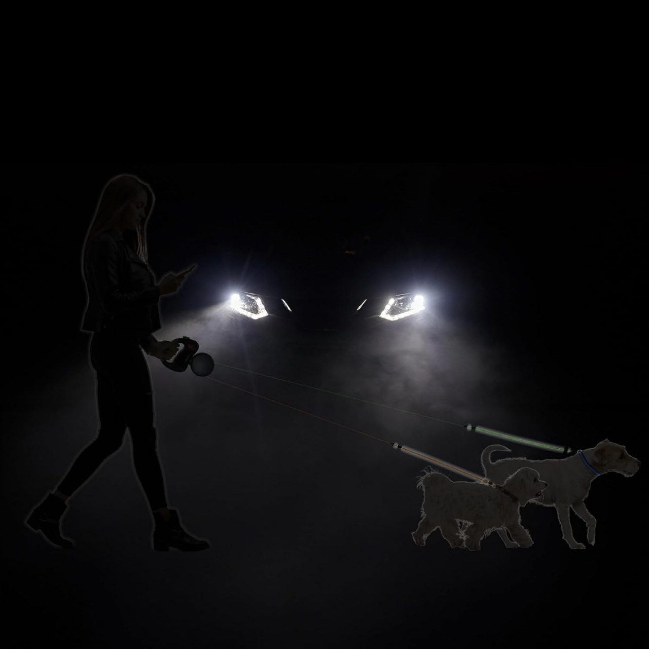 DoubleLeash, visszahúzható póráz két kutyának - Image 10