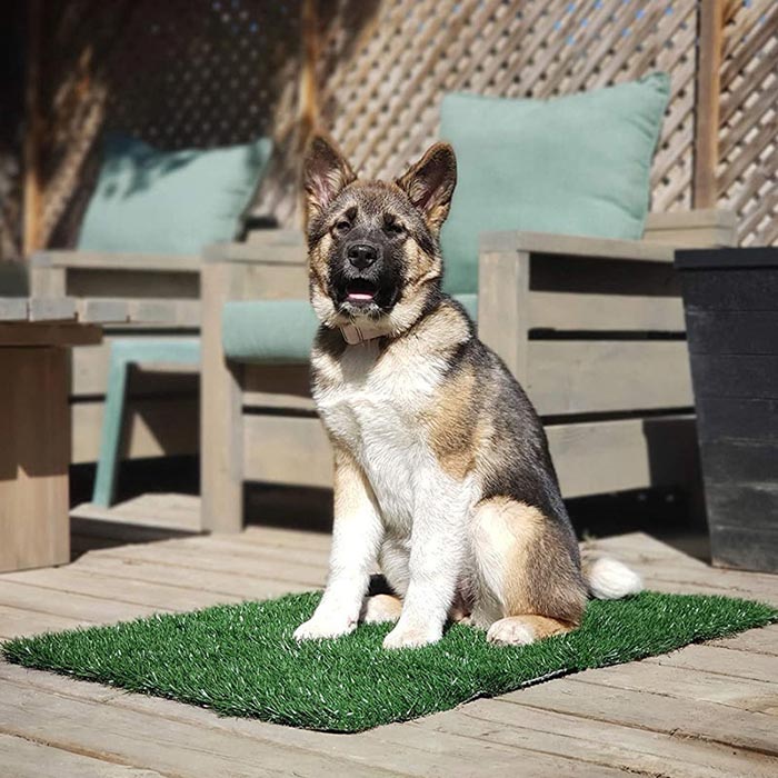GrassMat, egy szőnyeg a természetes fű hatásával - Image 5