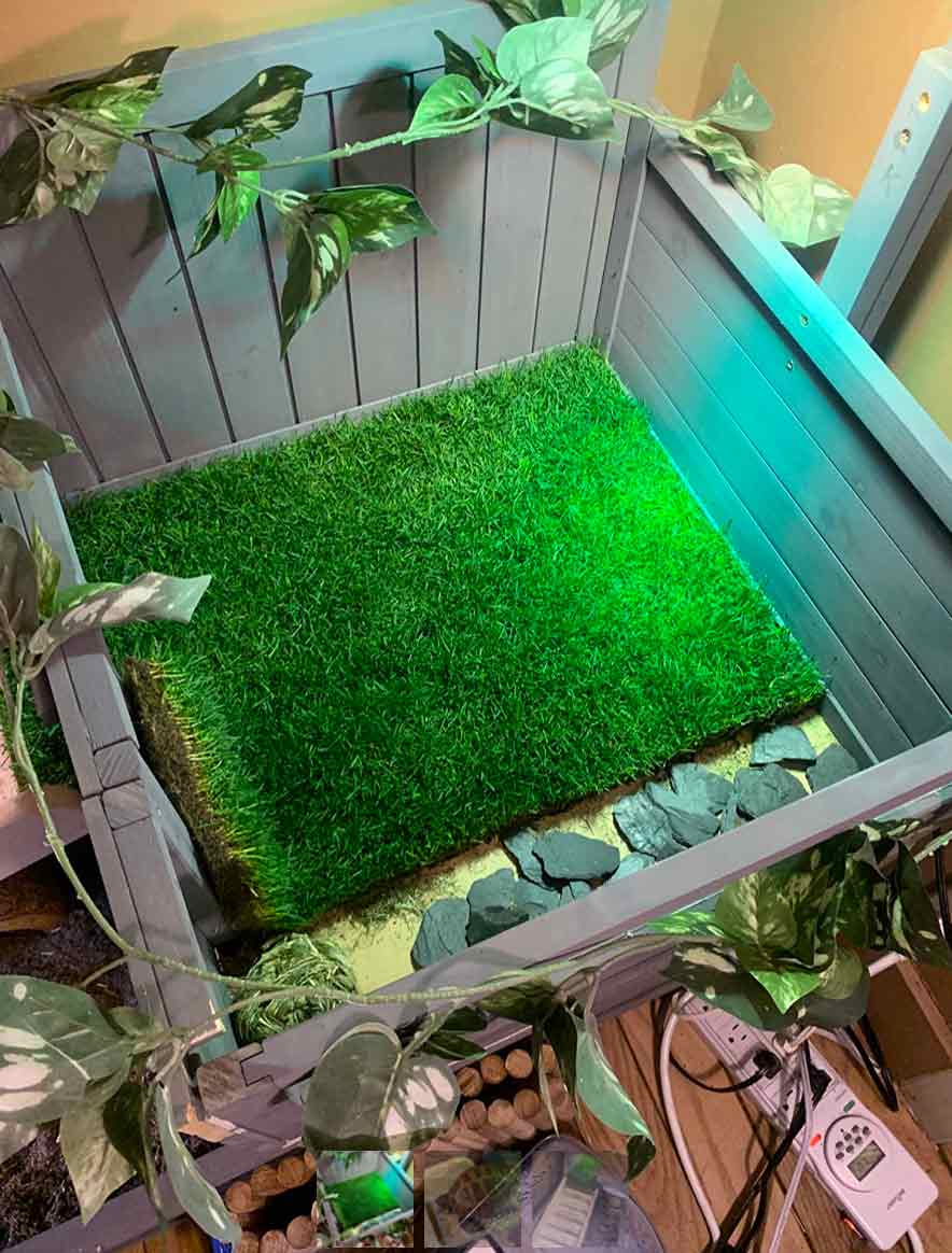 GrassMat, egy szőnyeg a természetes fű hatásával - Image 10