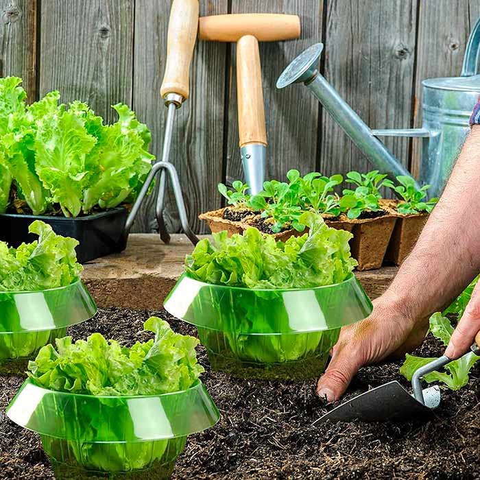 LettuceProtect, védelem a salátának és más növényeknek (10 darab) - Image 6