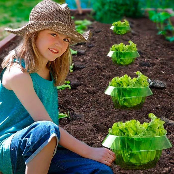 LettuceProtect, védelem a salátának és más növényeknek (10 darab) - Image 7