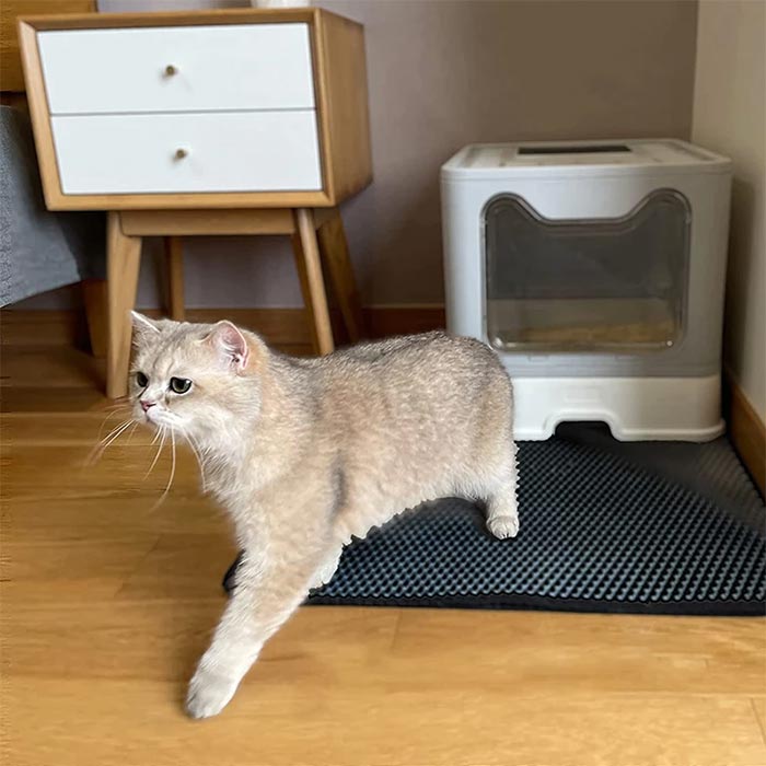 LitterMat, alomgyűjtő macskaszőnyeg - Image 2