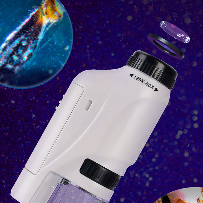 MicroscopeKit, hordozható mikroszkóp gyermekeknek - Image 4