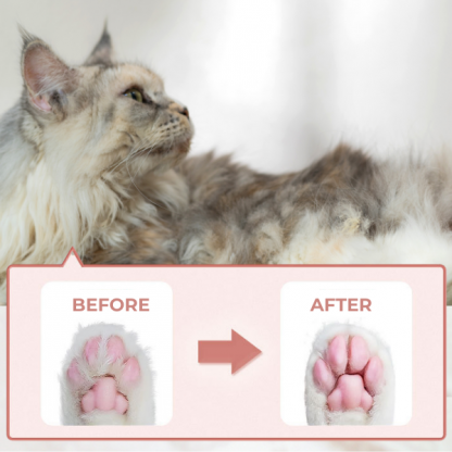 PAWTREAMER, PawPerfect Mini Állatnyíró - Image 4