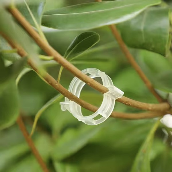 PLANTCLIP, GreenGrow Növénytartó - 60 Klipsz - Image 6
