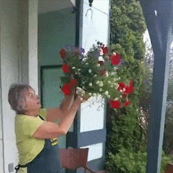 PULLEY, Növényakasztó kampó - video