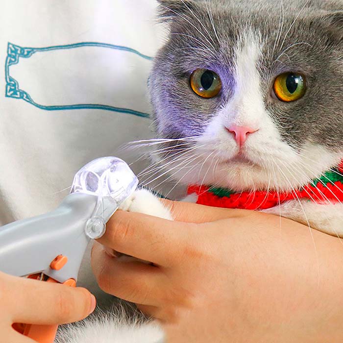 PawGloTrim, LED fényes körömvágó fogó - Image 7