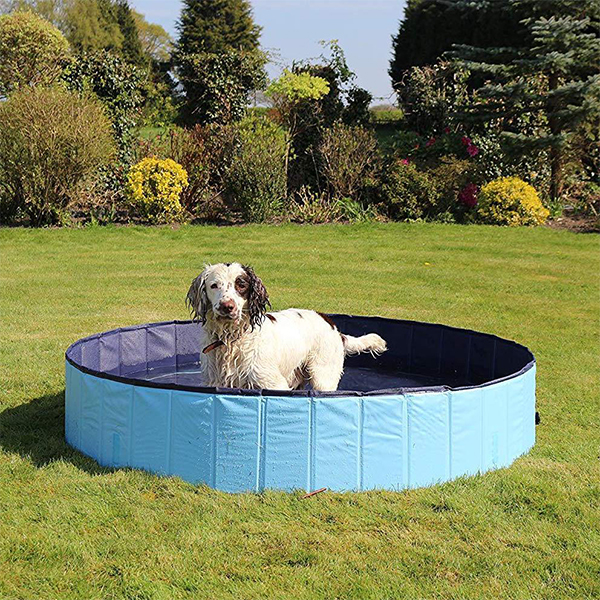 PawlyPool, összecsukható medence gyerekeknek és házi kedvenceknek - Image 2