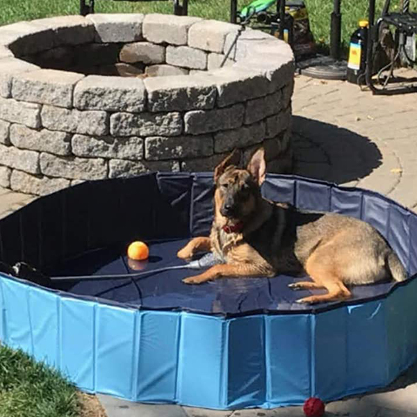 PawlyPool, összecsukható medence gyerekeknek és házi kedvenceknek - Image 3