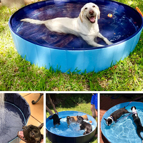 PawlyPool, összecsukható medence gyerekeknek és házi kedvenceknek - Image 5
