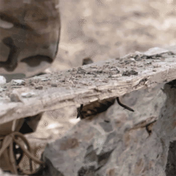 ProtectiveGloves, kiváló minőségű taktikai védőkesztyű - video