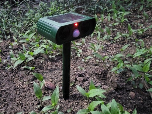RepellentSensor, napenergiával működő kártevőriasztó az állatok és a kerti kártevők ellen - Image 10