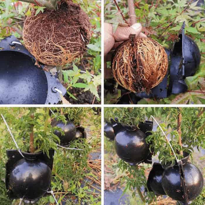 RootBall, a növények sikeres klónozásának eszköze (2 db) - Image 5