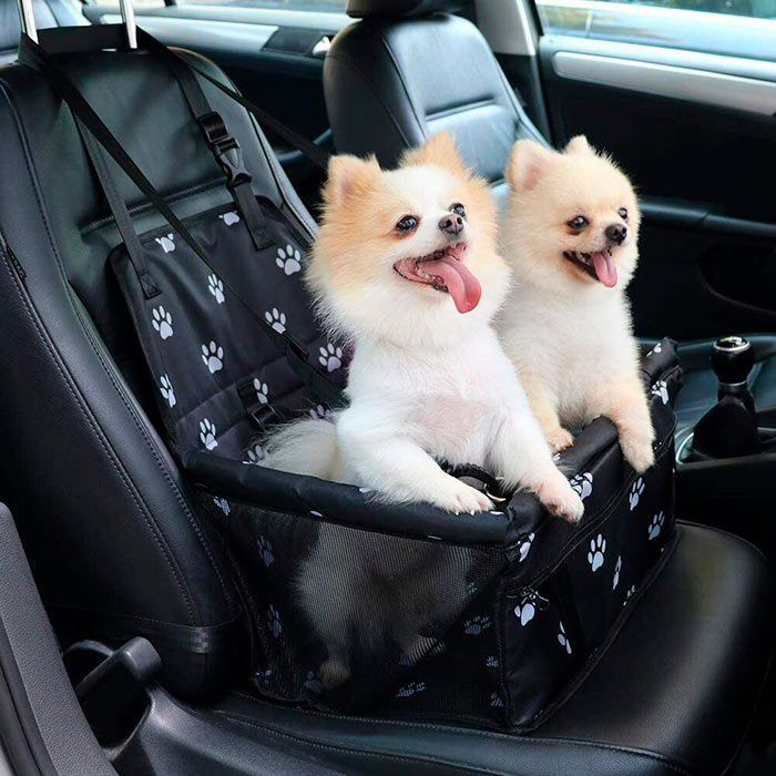 Seat4Dog, az autósülés háziállatok számára - Image 3