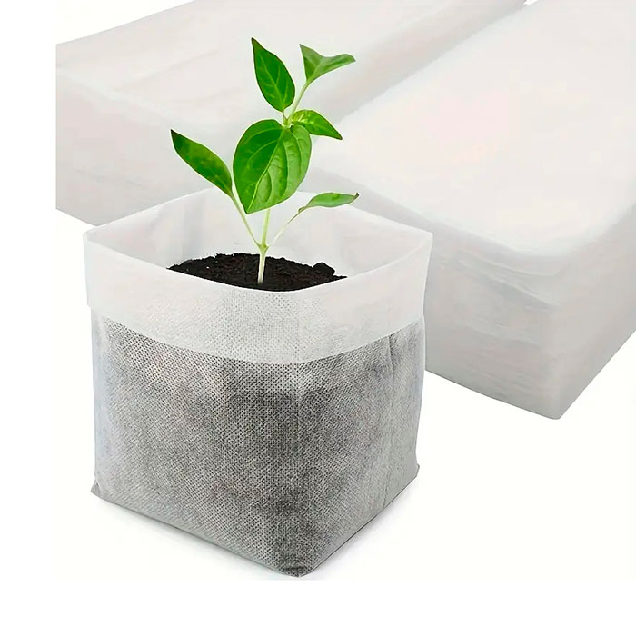 SeedBags
