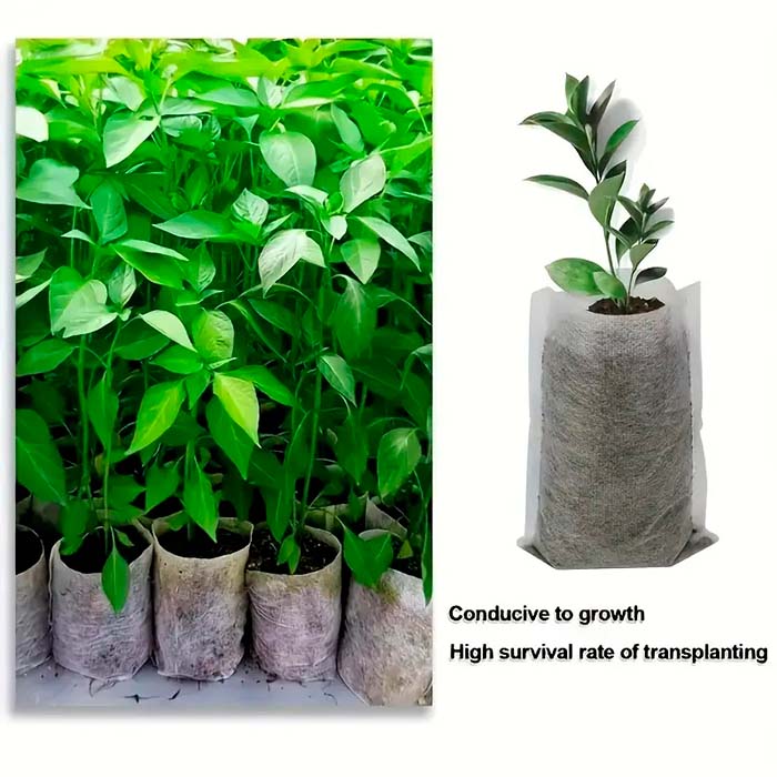 SeedBags, biodegradálható zsákok növények ültetéséhez és neveléséhez (100 db) - Image 4