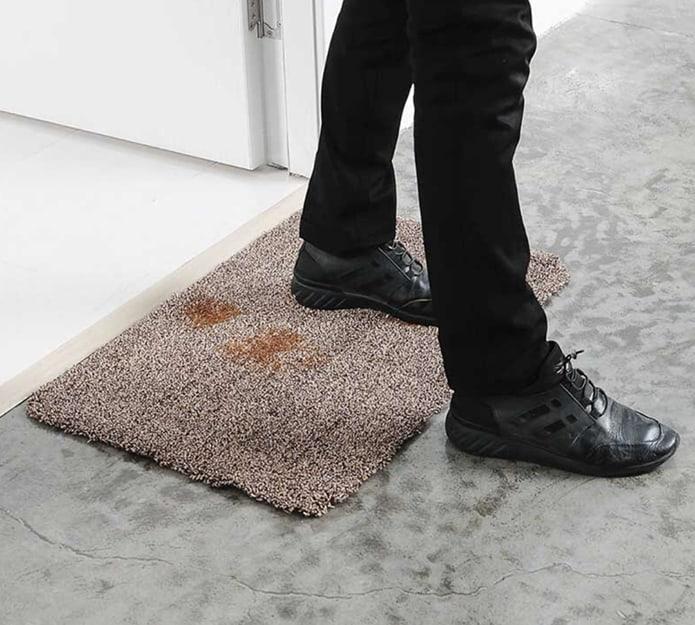 SuperStep, egy szőnyeg, amely egyetlen lépéssel megtisztítja a talpakat és a mancsokat - Image 7